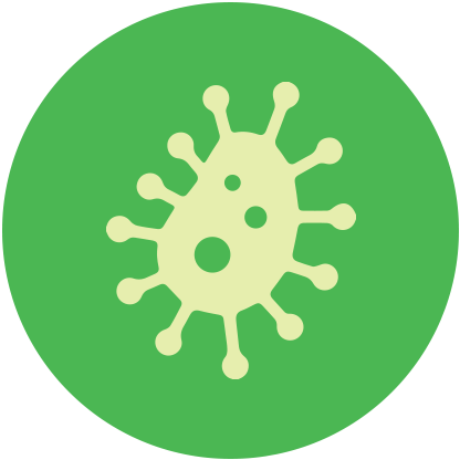 Mold & mildew Mold & mildew