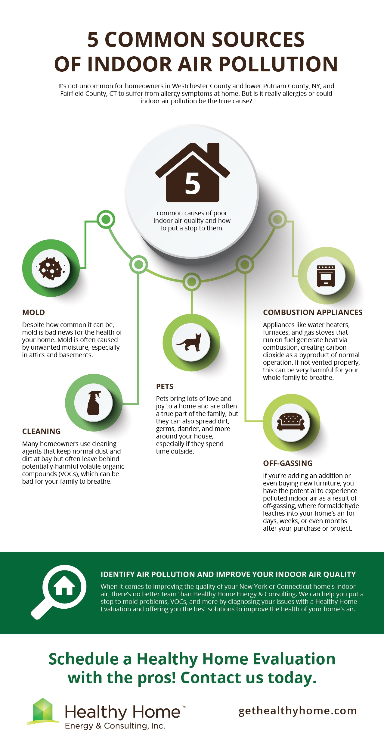 5 Common Sources of Indoor Air Pollution infographic 