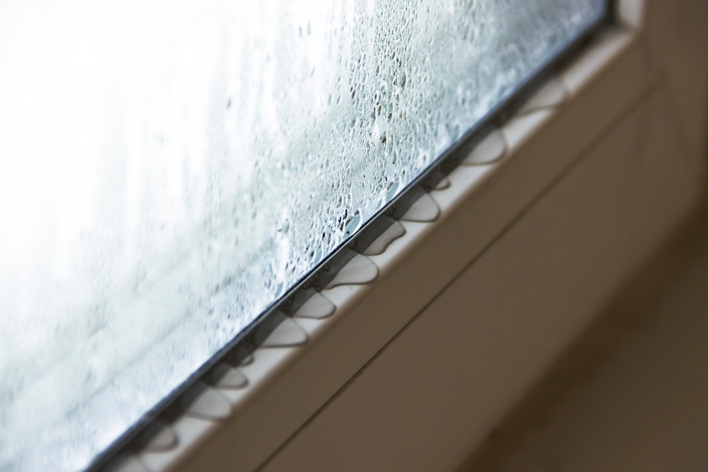condensation can cause rot around windows