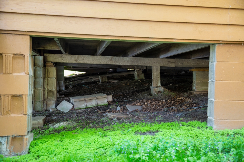 Crawlspace of House