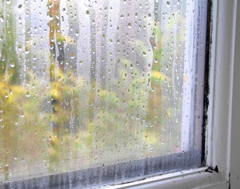 condensation on window