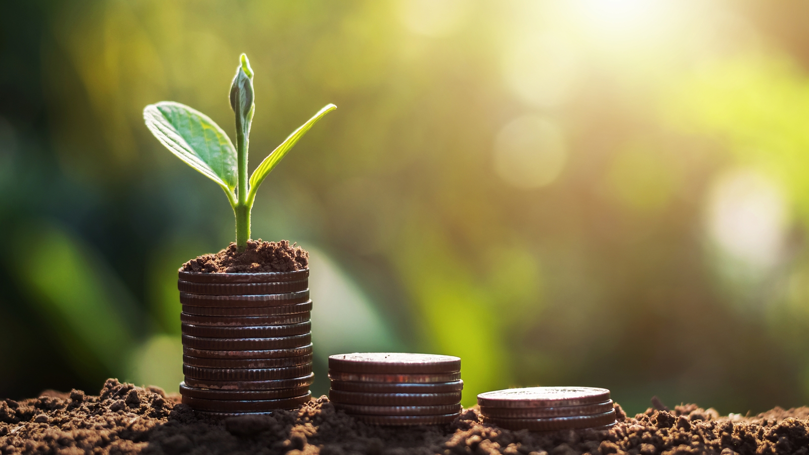 Coins Growing From Out Of The Soil With Plants