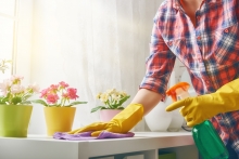 Healthy Home Energy and Consulting, Woman spring cleaning, NY