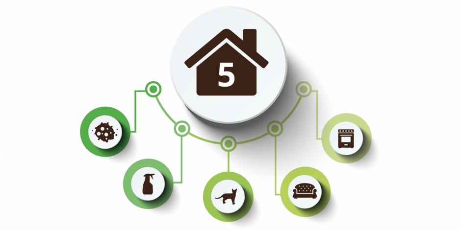 5 Common Sources of Indoor Air Pollution infographic header image 