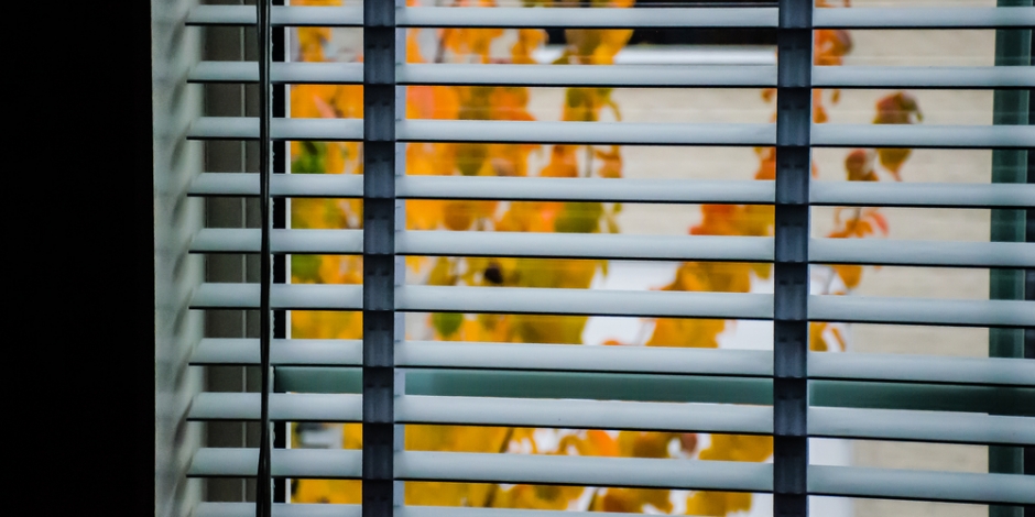 window of home showing fall leaves outside