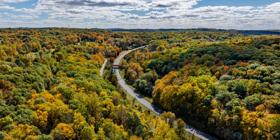 Mount Kisco city page header image