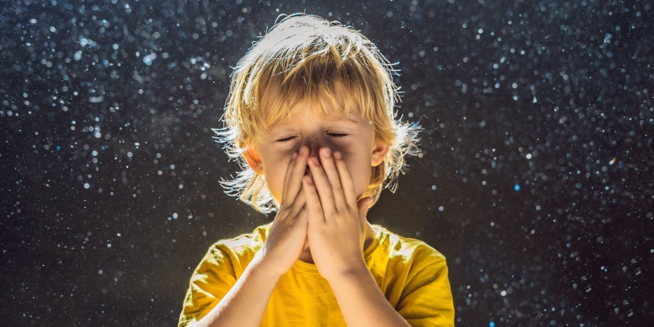 Healthy Home Energy & Consulting, Boy sneezing surrounded by dust, Westchester NY